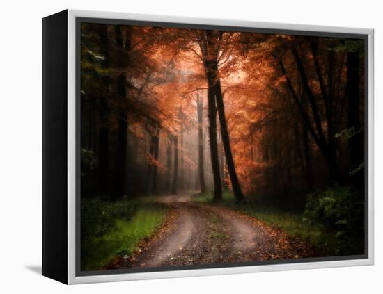 In My Dreams-Philippe Manguin-Framed Premier Image Canvas