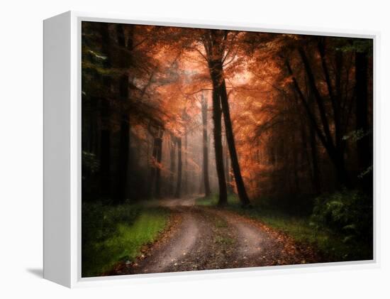 In My Dreams-Philippe Manguin-Framed Premier Image Canvas