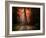 In My Dreams-Philippe Manguin-Framed Photographic Print