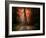 In My Dreams-Philippe Manguin-Framed Photographic Print
