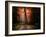 In My Dreams-Philippe Manguin-Framed Photographic Print