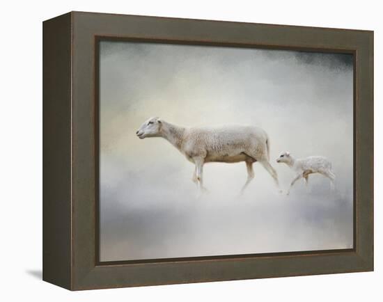 In My Mothers Footsteps Sheep and Lamb-Jai Johnson-Framed Premier Image Canvas