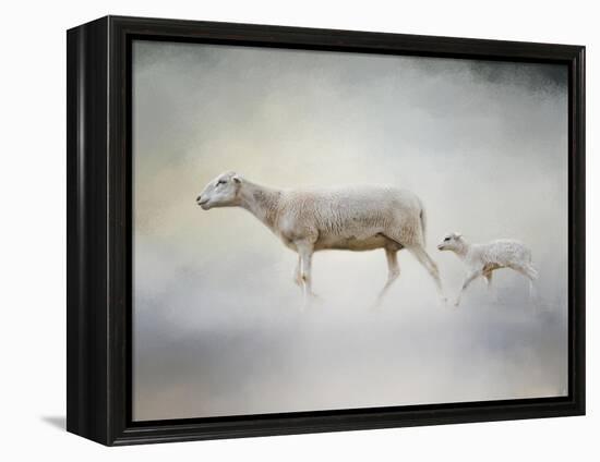 In My Mothers Footsteps Sheep and Lamb-Jai Johnson-Framed Premier Image Canvas