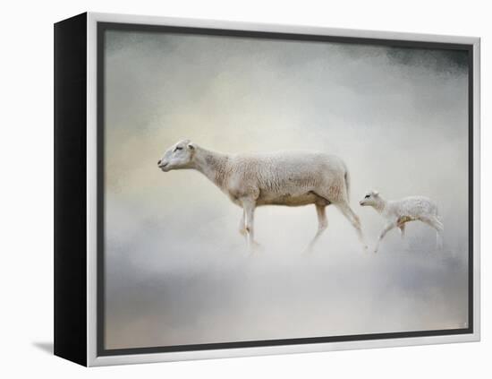 In My Mothers Footsteps Sheep and Lamb-Jai Johnson-Framed Premier Image Canvas