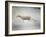 In My Mothers Footsteps Sheep and Lamb-Jai Johnson-Framed Giclee Print