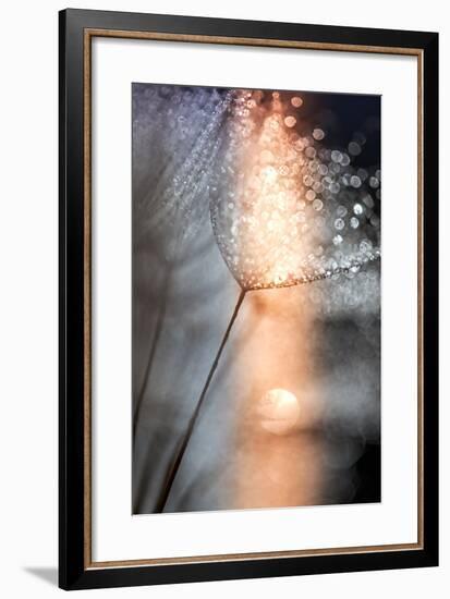 In My Winter Window-Ursula Abresch-Framed Premium Photographic Print