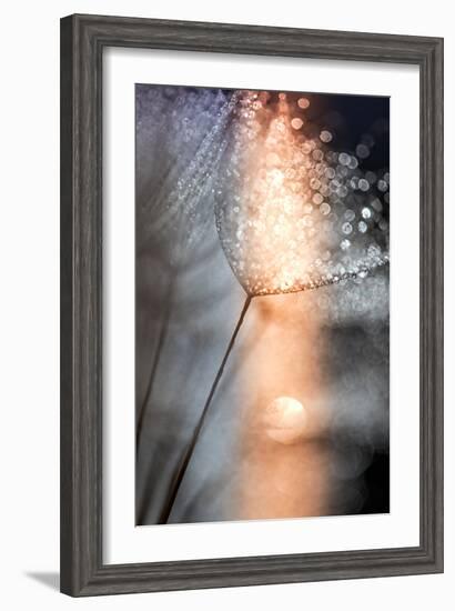 In My Winter Window-Ursula Abresch-Framed Photographic Print