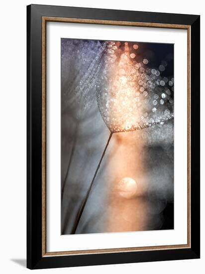 In My Winter Window-Ursula Abresch-Framed Photographic Print