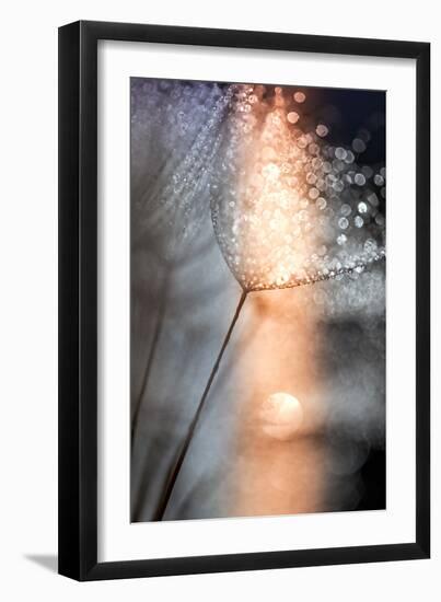 In My Winter Window-Ursula Abresch-Framed Photographic Print