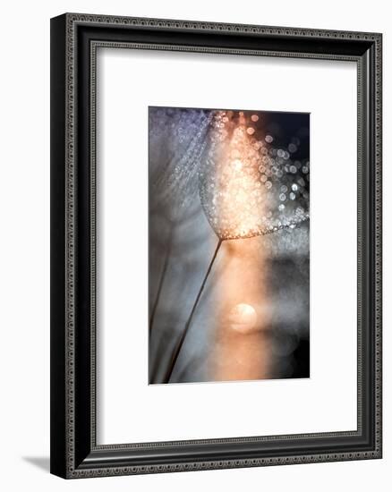 In My Winter Window-Ursula Abresch-Framed Photographic Print