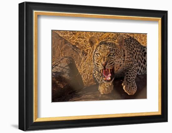 In No Uncertain Terms-null-Framed Art Print