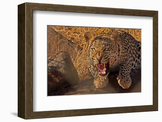 In No Uncertain Terms-null-Framed Art Print