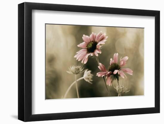 In Perfect Harmony-David Winston-Framed Giclee Print