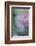 In Pink Delight II-Heidi Westum-Framed Photographic Print