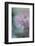 In Pink Delight II-Heidi Westum-Framed Photographic Print