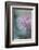 In Pink Delight II-Heidi Westum-Framed Photographic Print