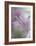 In Pink Delight-Heidi Westum-Framed Giclee Print