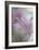 In Pink Delight-Heidi Westum-Framed Giclee Print