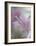 In Pink Delight-Heidi Westum-Framed Giclee Print