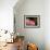 In Pink-Ursula Abresch-Framed Photographic Print displayed on a wall