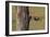 In Pursuit - Feed-Staffan Widstrand-Framed Giclee Print