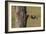 In Pursuit - Feed-Staffan Widstrand-Framed Giclee Print