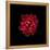 In Red-PhotoINC-Framed Premier Image Canvas