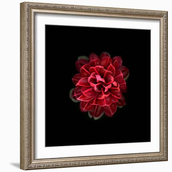 In Red-PhotoINC-Framed Photographic Print