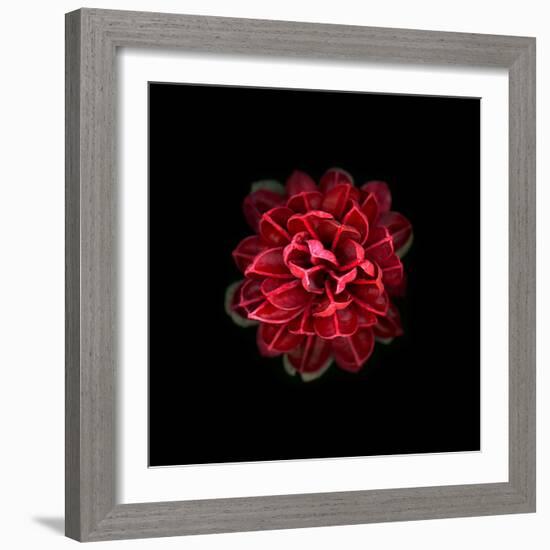 In Red-PhotoINC-Framed Photographic Print