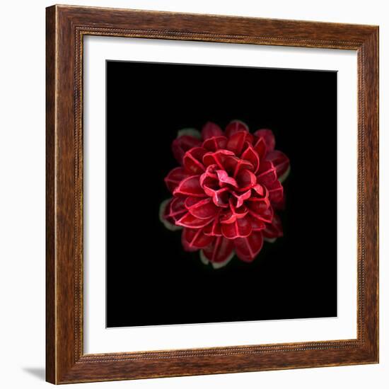 In Red-PhotoINC-Framed Photographic Print