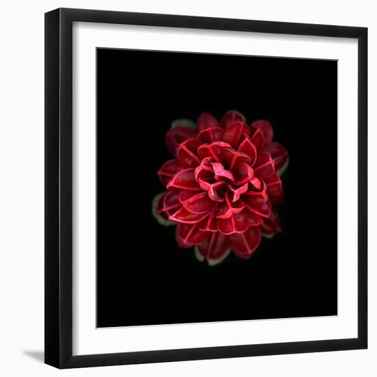 In Red-PhotoINC-Framed Photographic Print