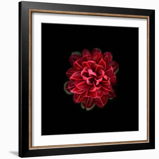 In Red-PhotoINC-Framed Photographic Print