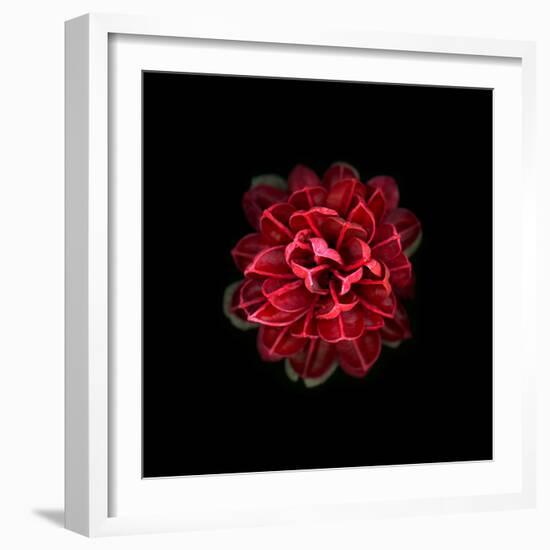 In Red-PhotoINC-Framed Photographic Print