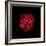 In Red-PhotoINC-Framed Photographic Print