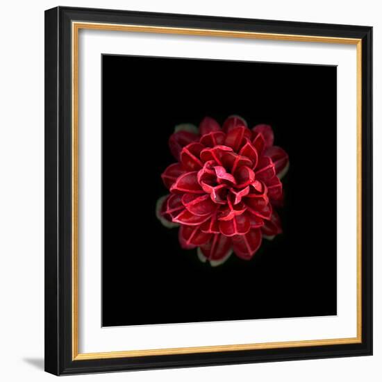 In Red-PhotoINC-Framed Photographic Print