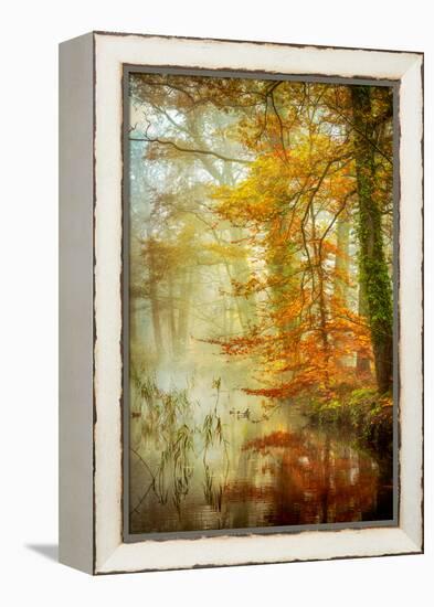 In Romance-Lars Van de Goor-Framed Premier Image Canvas