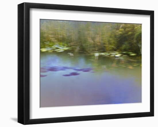 In Search of a Kingfisher-Valda Bailey-Framed Photographic Print