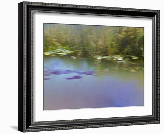 In Search of a Kingfisher-Valda Bailey-Framed Photographic Print