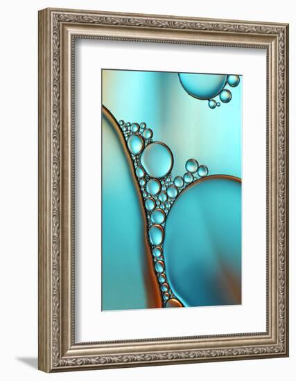 In Shimmering Turquoise-Heidi Westum-Framed Photographic Print