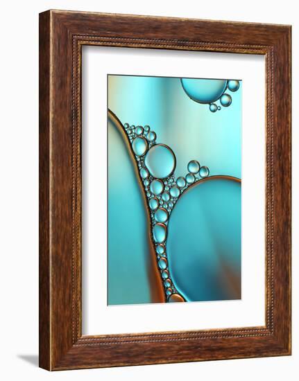 In Shimmering Turquoise-Heidi Westum-Framed Photographic Print
