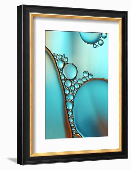 In Shimmering Turquoise-Heidi Westum-Framed Photographic Print