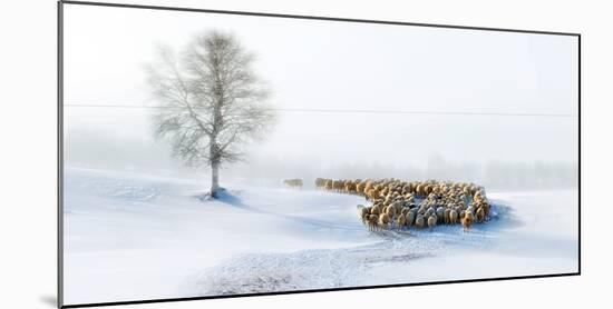 In Snow-Hua Zhu-Mounted Photographic Print