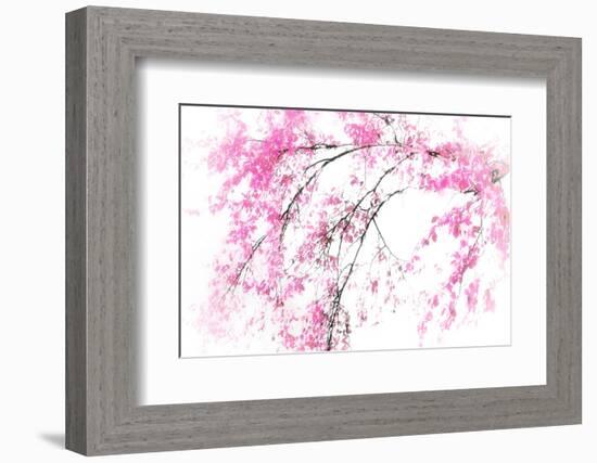 In Spring-Ursula Abresch-Framed Photographic Print