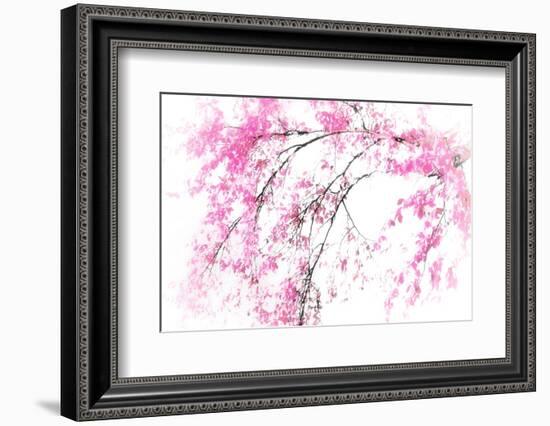 In Spring-Ursula Abresch-Framed Photographic Print