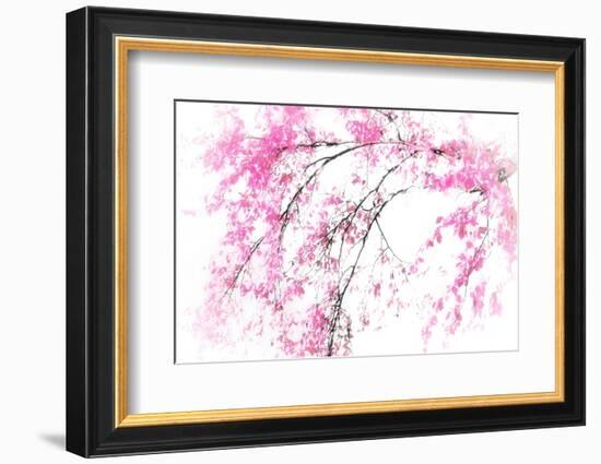 In Spring-Ursula Abresch-Framed Photographic Print