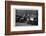 In the airing yard, St Marylebone Workhouse, Luxborough Street, London, c1901-Unknown-Framed Photographic Print