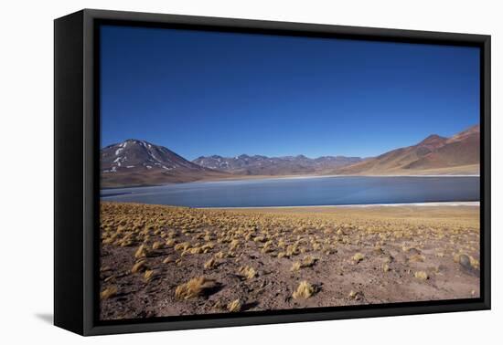 In the Altiplano of the Antofagasta Region of Chile, Is Miniques Lake-Mallorie Ostrowitz-Framed Premier Image Canvas