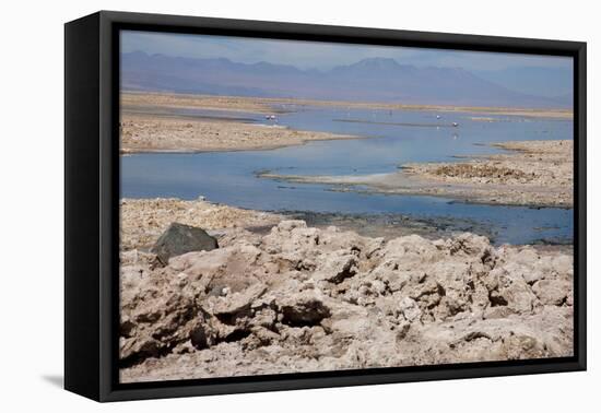 In the Atacama Desert Is the National Reserve of Atacama Salt Lake-Mallorie Ostrowitz-Framed Premier Image Canvas