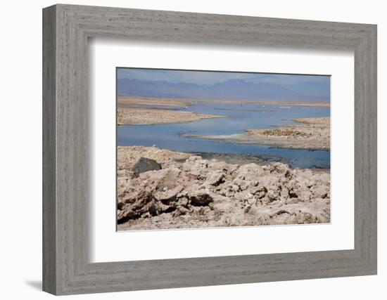 In the Atacama Desert Is the National Reserve of Atacama Salt Lake-Mallorie Ostrowitz-Framed Photographic Print