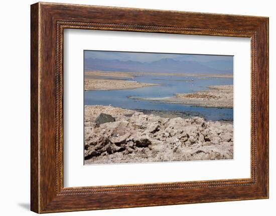 In the Atacama Desert Is the National Reserve of Atacama Salt Lake-Mallorie Ostrowitz-Framed Photographic Print